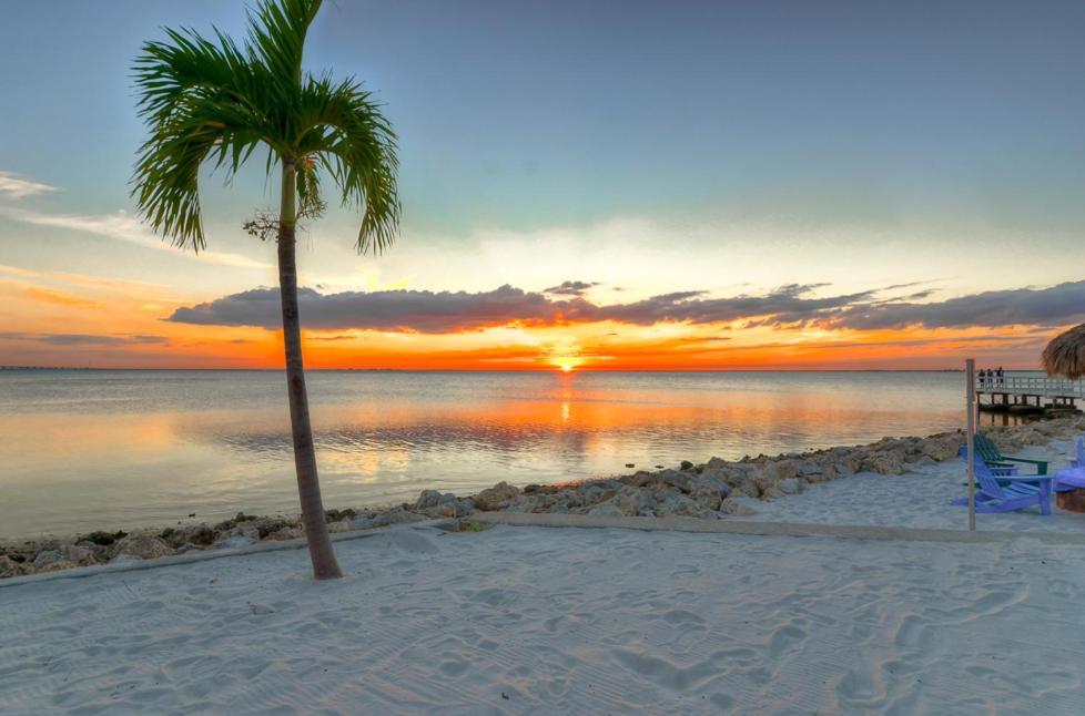 441-Waterfront, Amazing Views, Wifi, Pool And Close To Bucs Stadium Tampa Zewnętrze zdjęcie