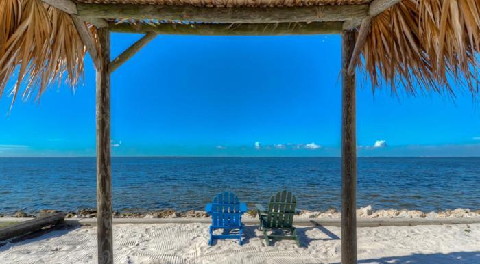 441-Waterfront, Amazing Views, Wifi, Pool And Close To Bucs Stadium Tampa Zewnętrze zdjęcie