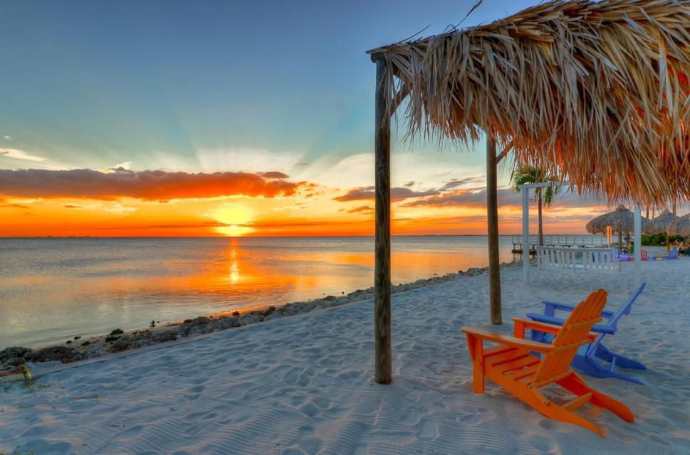 441-Waterfront, Amazing Views, Wifi, Pool And Close To Bucs Stadium Tampa Zewnętrze zdjęcie