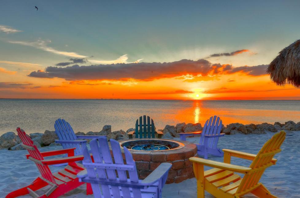441-Waterfront, Amazing Views, Wifi, Pool And Close To Bucs Stadium Tampa Zewnętrze zdjęcie